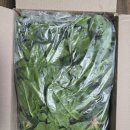 남해농산 | 농라 보물섬농산 남해 시금치 2kg 후기