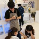 청담펫츠 이미지