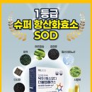 에스오디오케이119 | 닥터에스오디 체험 후기
