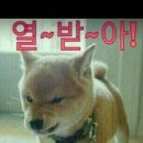 월