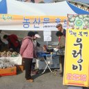 2008 마금산 온천축제 이미지