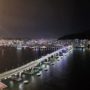 유림-22 이미지