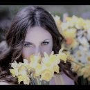 Seven Daffodils - Brothers Four: with Lyrics(일곱송이 수선화) 이미지