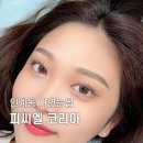 피씨엘코리아 이미지