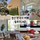 윌로우반곡247 이미지