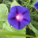 성두농장 이미지