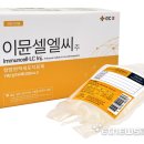 이뮨 이미지