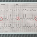 인천동물심장내과 이미지