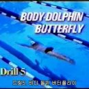 TI영법 - [단축드릴] 05 - (접영) - 바디 돌핀 버터플라이 ( Body Dolphin Butterfly ) 이미지