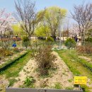 박광용농장 이미지