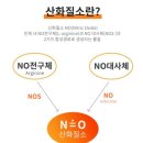 오바이오 | 산화질소 마시는 천연서약| 발효 산화질소 대사제 건강음료 엔오바이오 시음후기