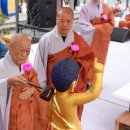 부처님 오신 날, 봉축법요식 제주일보 20250505 이미지