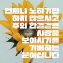 주 미가 이미지