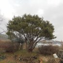 안산1길 이미지