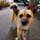 제주시서문공설시장 이미지