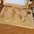 도안중로 | 대전 도안동 카페 주아드비브르 인생 소금빵 맛집 메뉴 주차 솔직후기