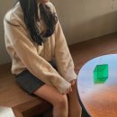 페트리코