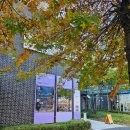 호수온누리약국 이미지