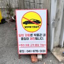 안면도쥬라기박물관 | 충남 태안 아이랑 가볼만한곳 안면도 쥬라기 박물관 방문 후기 할인