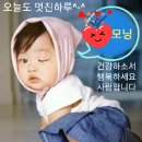 요기요 Daum카페