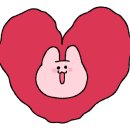 애견백화점 동탄점 이미지