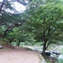 석천2 Daum카페