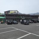 260315 청도한재미나리 정투1 이미지