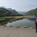 오렌지 꽃향기는 바람에 날리고 이미지