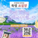 (주)라벤더투어 이미지