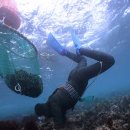 제주시 하도어촌계 이미지