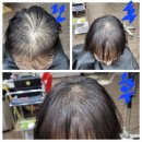 월드컵게임랜드 이미지