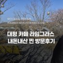 5815 | 용인 데이트하기 좋은 대형 카페 추천 라임그라스 방문 후기 ! 야외 캠핑 분위기 대형 카페
