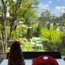 황금산장 입구 이미지