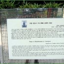 법흥사석분 이미지