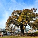 수암마을전시관 이미지