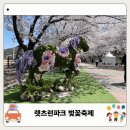 마장공원(산곡남중 옆) | 2026년 4월 렛츠런파크 서울 벚꽃축제 평일 후기 주차 체험 총정리