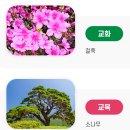 광주교육대학교목포부설초등학교 이미지