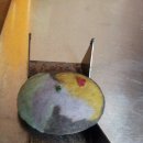 칠보목장 이미지