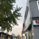 도봉1교 | [쌍문역 네일] 아이리쉬 네일샵 초겨울 트위드 이달의아트 후기 (도봉구 네일/쌍문동 네일)