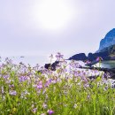 성산포에서