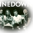 Cut The Cord - Shinedown 이미지