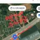 2026년 하월시아 가을 놀자전 이미지