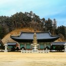 해동불교 티스토리