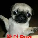 얌 - 양평군 시민로 6 | 얌
