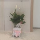중앙요양원 | 서산요양원어디가 좋을까? 서산요양원추천 서산실버타운요양원 방문후기