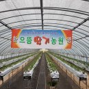 심스컨설팅 네이버블로그