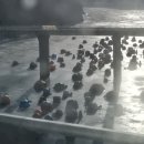 인제2공원 이미지