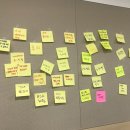 비전셀프 이미지