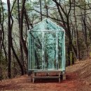 구덕공원 이미지