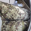 팀장새기가 아침부터 복장지적하는데 내가잘못한건지봐주라 이미지